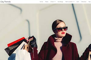 a fashion ecommerce website I designed.